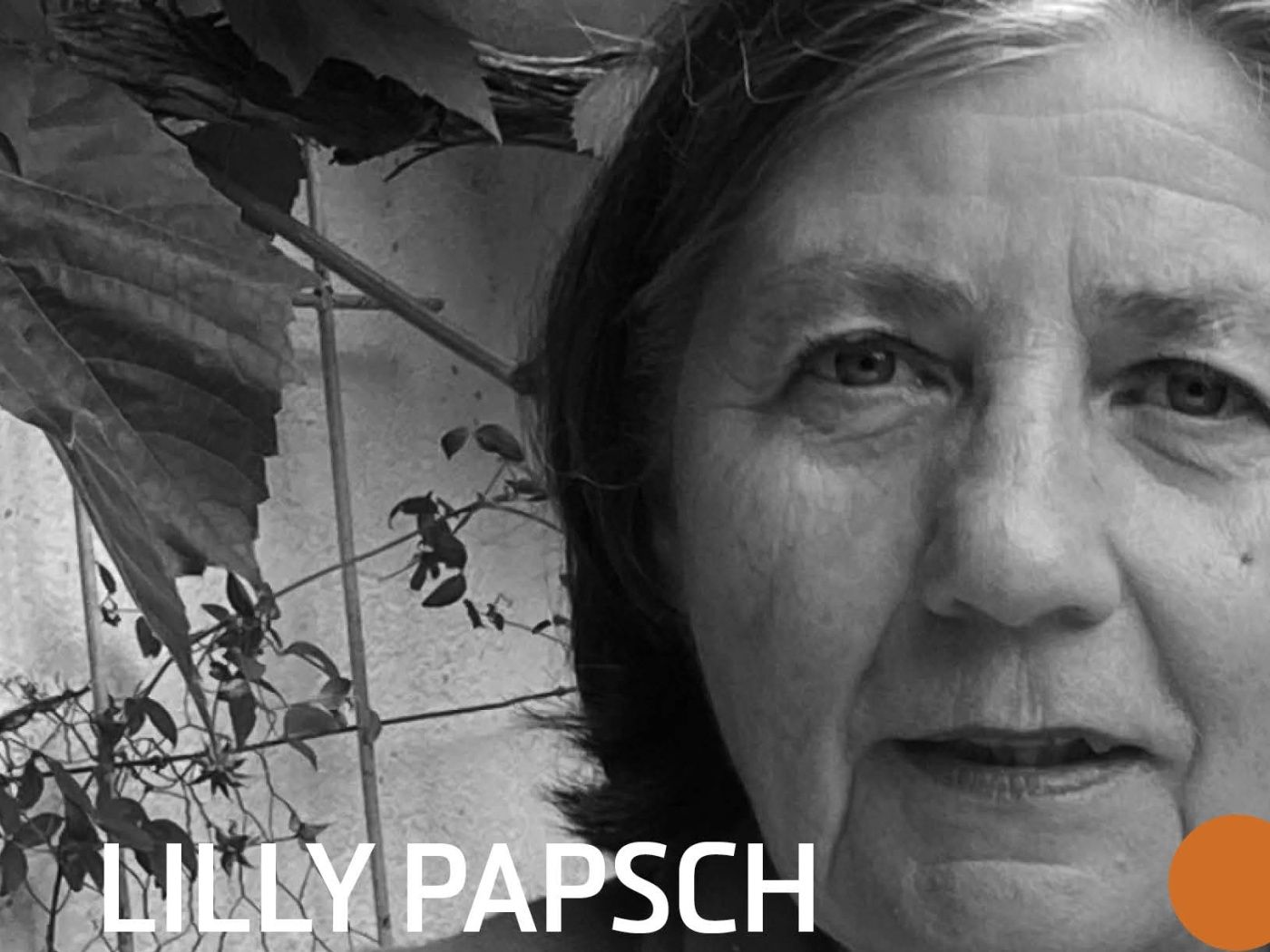 Lilly Papsch liest - auf Schloss Bruck!